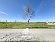 IMG_2643