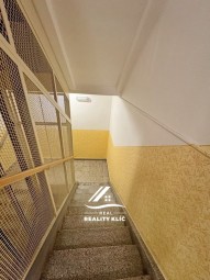 IMG_3331