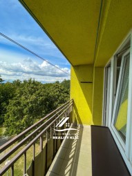 IMG_0773 2