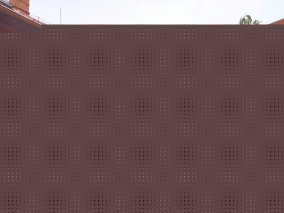 362296644_7111516842196799_1649689534931267455_n