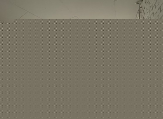 spacely-ai-standard-20251113224341-j7b9k