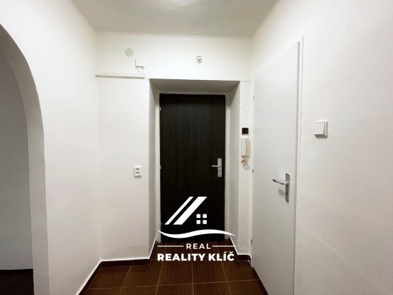 IMG_2241_neutral_soft