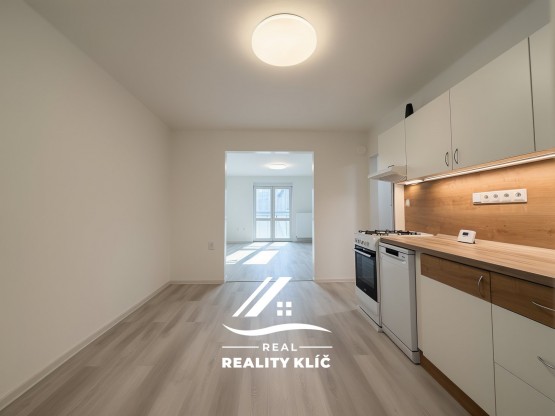 spacely-ai-standard-20260117152707-jxh0p