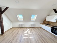 Detail: Pronájem bytu 1+kk, 50 m2