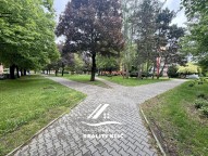IMG_9422
