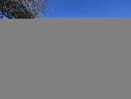 IMG_7471