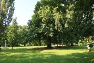 IMG_4862