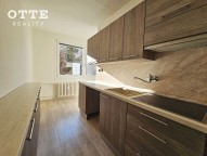 Detail: Pronájem bytu 2+1, 55 m2