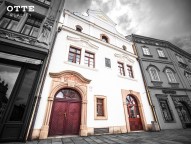 Detail: Pronájem nebytových prostor 247 m2