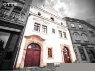 Detail: Pronájem nebytových prostor 247 m2