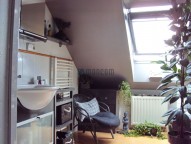 dsc05242.jpg