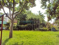 dsc05262.jpg