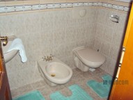 dsc05377.jpg