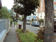 dsc05405.jpg