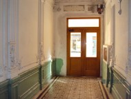 dsc03778.jpg