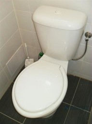 004-medium.jpg