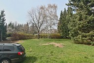 img-0802.jpg