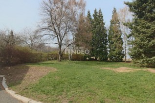 img-0804.jpg
