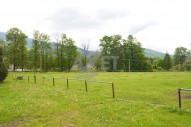 DSC_0588.JPG