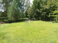 IMG-20260729-WA0002