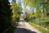 DSC04888.jpg