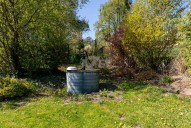 DSC04880.jpg