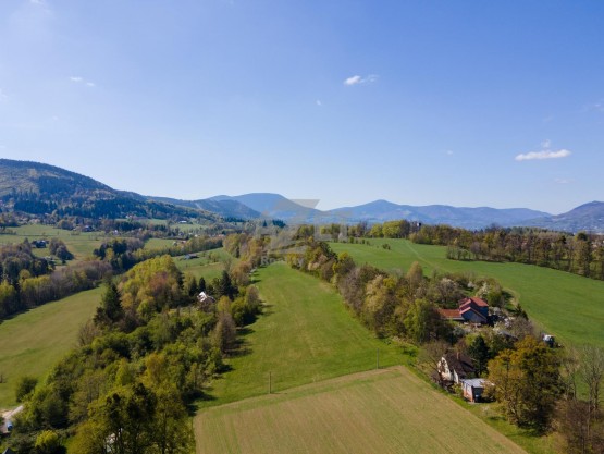 DJI_0397.jpg