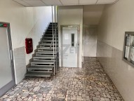 IMG_1445.jpeg