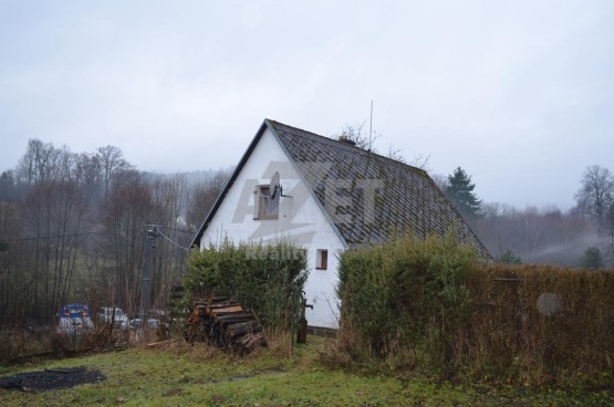 DSC_0329.JPG
