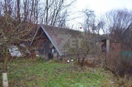 DSC_0323.JPG