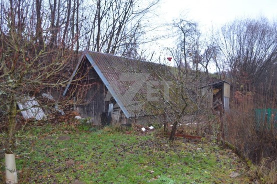 DSC_0323.JPG