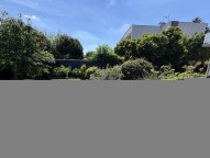 IMG_1458.JPG