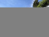 IMG_1469.JPG