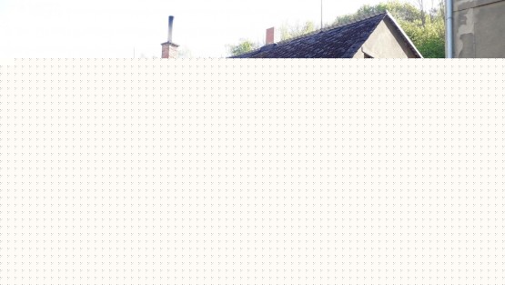 20260428_091116.jpg