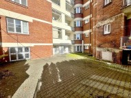 IMG_3252.jpeg
