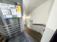 IMG_3255.jpeg