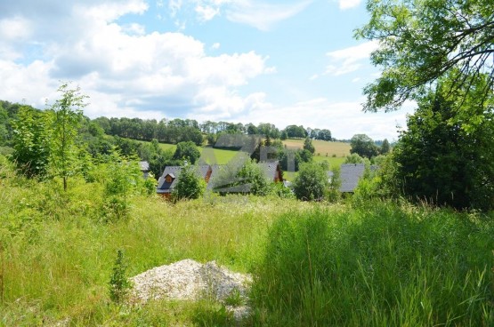 DSC_0914.JPG