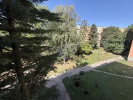 IMG_1924.JPG