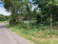 IMG_7058.jpeg