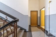borivojova-7.jpg