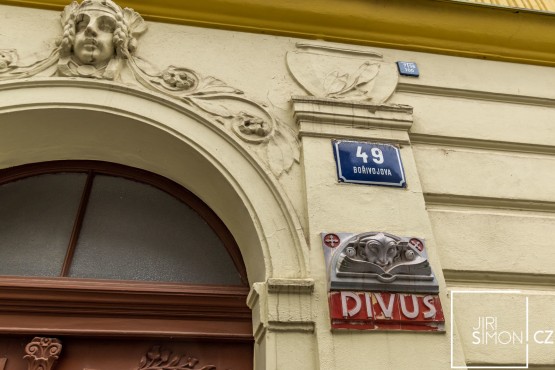 borivojova-4.jpg