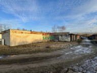 IMG_8488.jpg