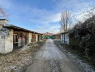IMG_8489.jpg