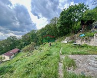 IMG_1037.jpg