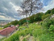 IMG_1047.jpg