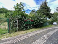 IMG_2902.jpeg