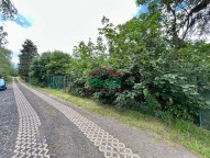 IMG_2901.jpeg