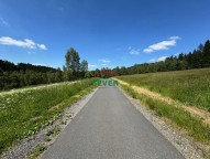 IMG_4284.jpg