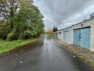 IMG_7703.jpg