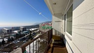 IMG_1427.jpg